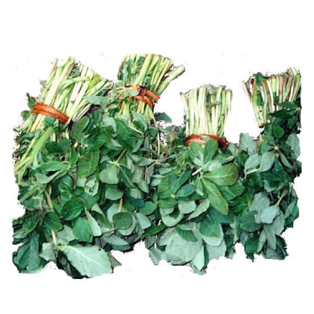 Sagaa (500g)