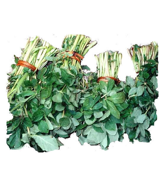 Sagaa (500g)