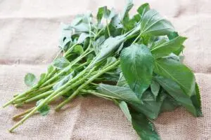 Mrenda (500g)