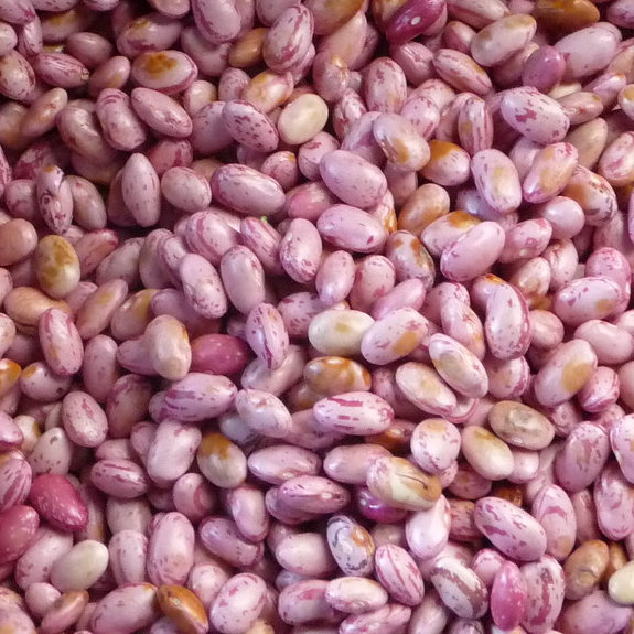 Nyayo Beans (500g)