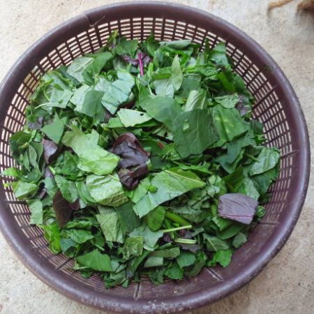 Traditional Mix 1 (1kg)