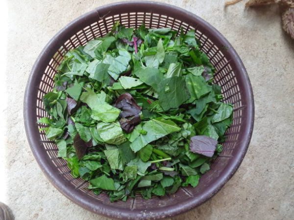 Traditional Mix 2 (1kg)